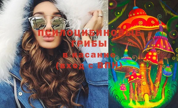 эйфоретик Дмитров