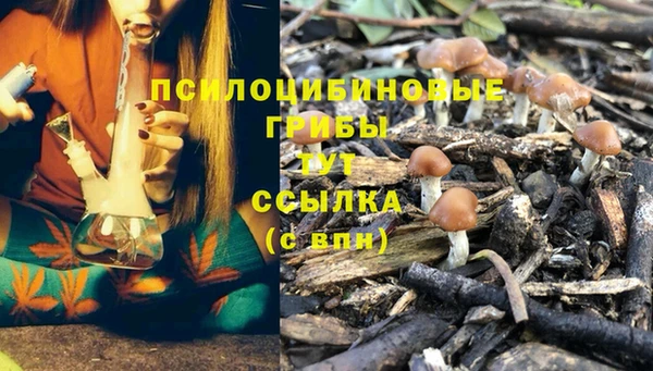 марихуана Дмитриев