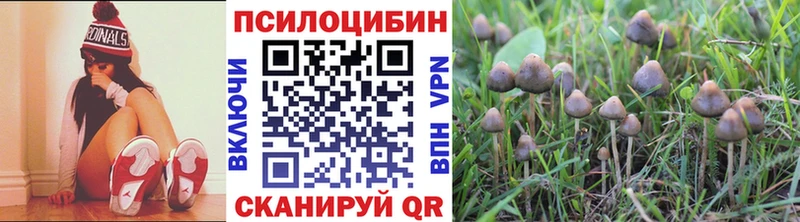 Галлюциногенные грибы Magic Shrooms Чишмы