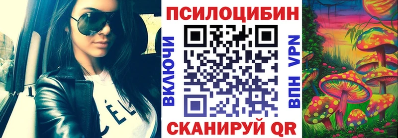 Купить где  Чишмы  Галлюциногенные грибы GOLDEN TEACHER 